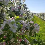 Traumapfel Semesterbostad Jork